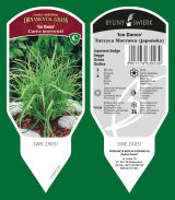 ornamental plants: perennials, grass, herbs, ferns 27