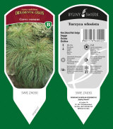 dekorativní rostliny trvalky travní byliny kapradiny 29