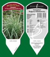 dekoratyviniai augalai: daugiamečiai augalai, žolė, žolelės, paparčiai 31