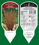 dekorativní rostliny trvalky travní byliny kapradiny 35